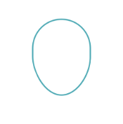 Icon customer